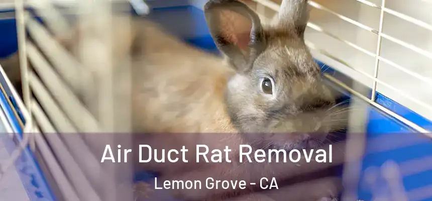  Air Duct Rat Removal Lemon Grove - CA