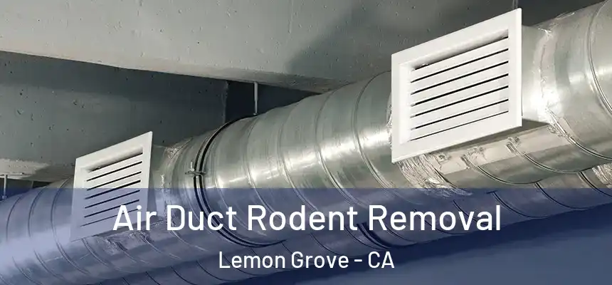 Air Duct Rodent Removal Lemon Grove - CA