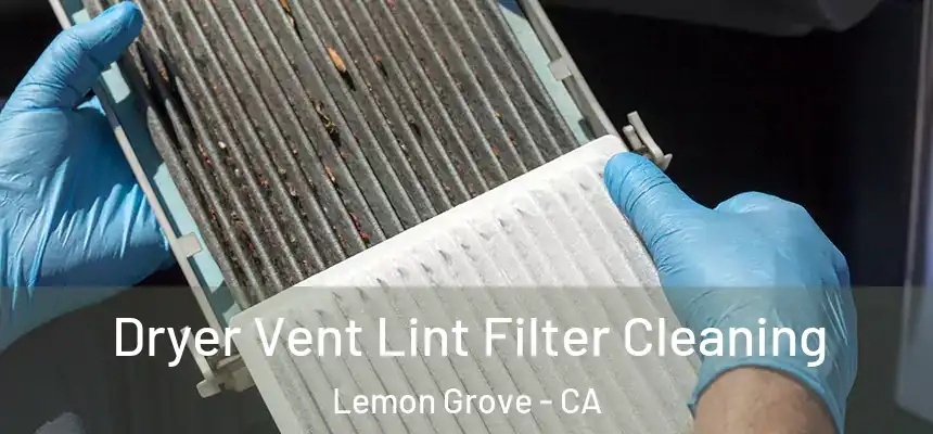  Dryer Vent Lint Filter Cleaning Lemon Grove - CA