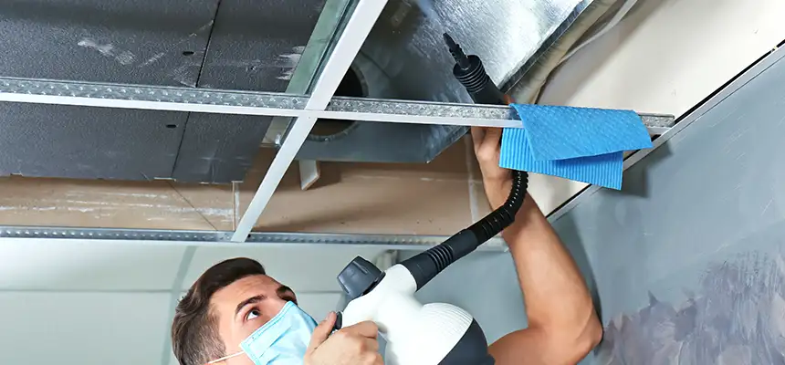 Our Air Duct Rodent Removal Services in Lemon Grove, CA