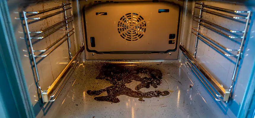 Our Dryer Vent Mold Cleaning Services in Lemon Grove, CA