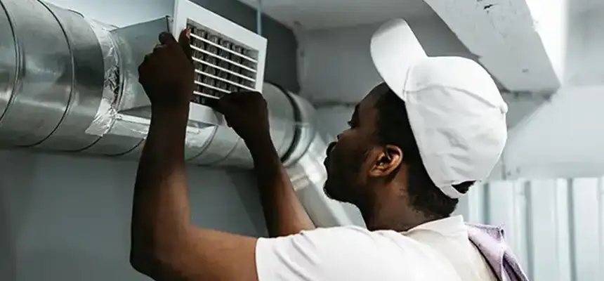 Our Licensed And Insured Cleaners in Lemon Grove, CA