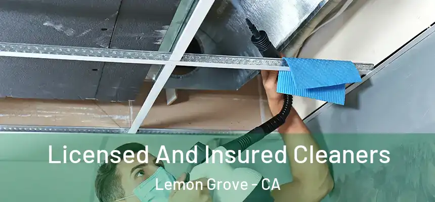  Licensed And Insured Cleaners Lemon Grove - CA