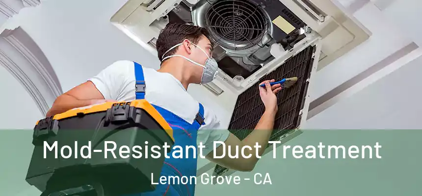  Mold-Resistant Duct Treatment Lemon Grove - CA
