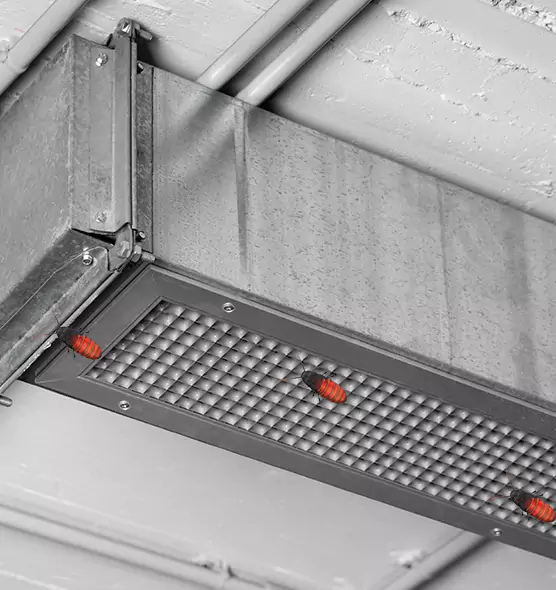 About Air Duct Cockroach Removal in Lemon Grove, CA