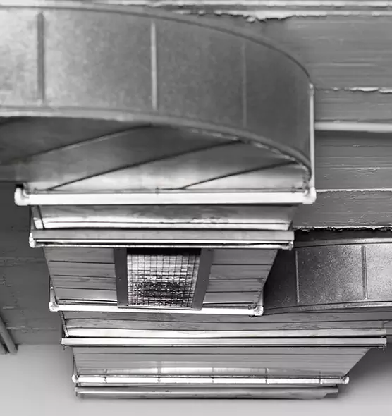 Professional Air Duct Pest Removal in Lemon Grove, CA