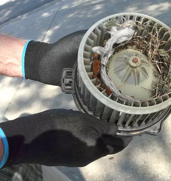 About Air Duct Rat Removal in Lemon Grove, CA