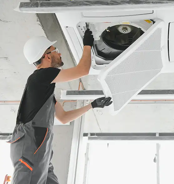 About Air Duct Rodent Removal in Lemon Grove, CA