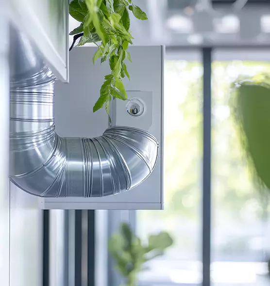 Professional Eco-Safe Dryer Vent Cleaning in Lemon Grove, CA