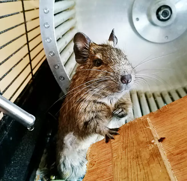 Why Homeowners & Businesses Trust Us Lemon Grove, CA