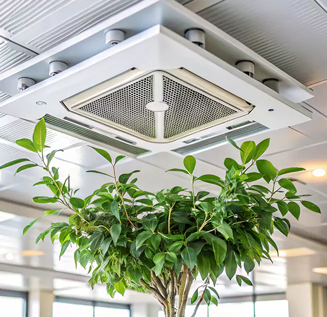 Why Homeowners & Businesses Trust Us in Lemon Grove, CA