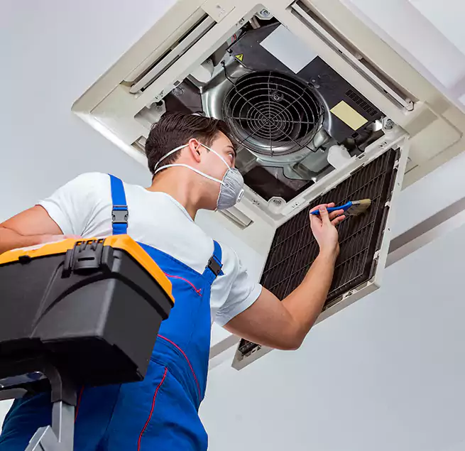 Why Homeowners & Businesses Trust Us in Lemon Grove, CA?