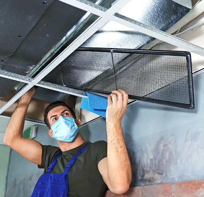 Why Homeowners & Businesses Trust Us in Lemon Grove, CA?