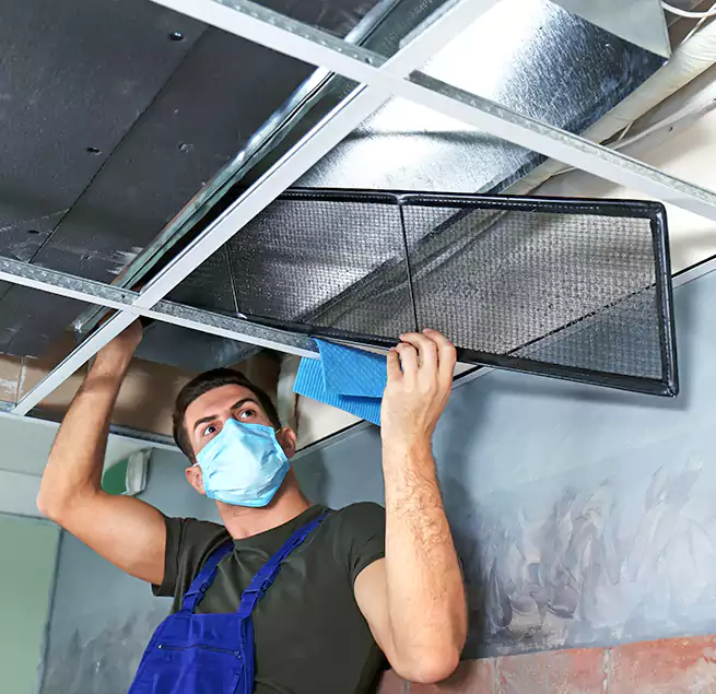 Why Homeowners Businesses Trust Us in Lemon Grove, CA